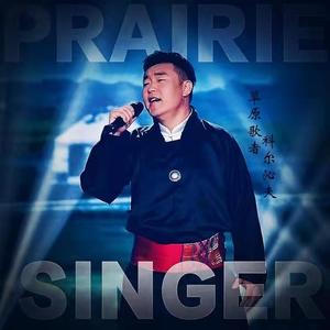 科尔沁夫-画你(正式版)_flac下载_mp3下载