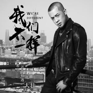 大壮-我们不一样_flac下载_mp3下载
