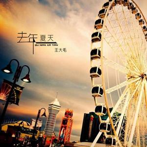 王大毛-去年夏天_flac下载_mp3下载