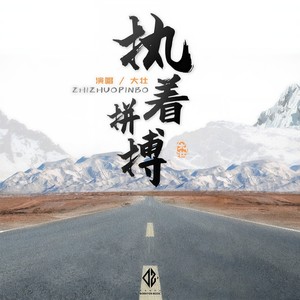 大壮-执着拼搏_flac下载_mp3下载