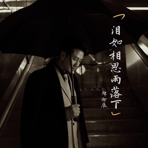 郑亦辰-泪如相思雨落下_flac下载_mp3下载