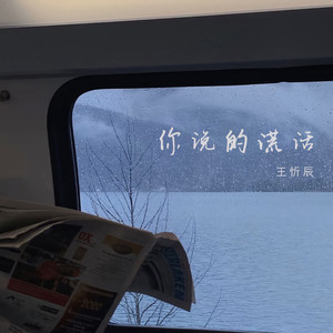 王忻辰-你说的谎话