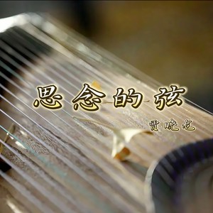 贾晓龙-思念的弦_flac下载_mp3下载