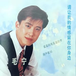毛宁-涛声依旧_flac下载_mp3下载