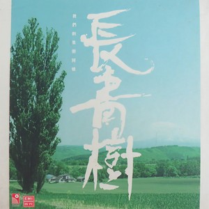 罗文_甄妮-铁血丹心_flac下载_mp3下载