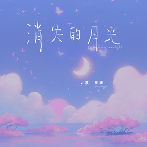 苏星婕-消失的月光_flac下载_mp3下载