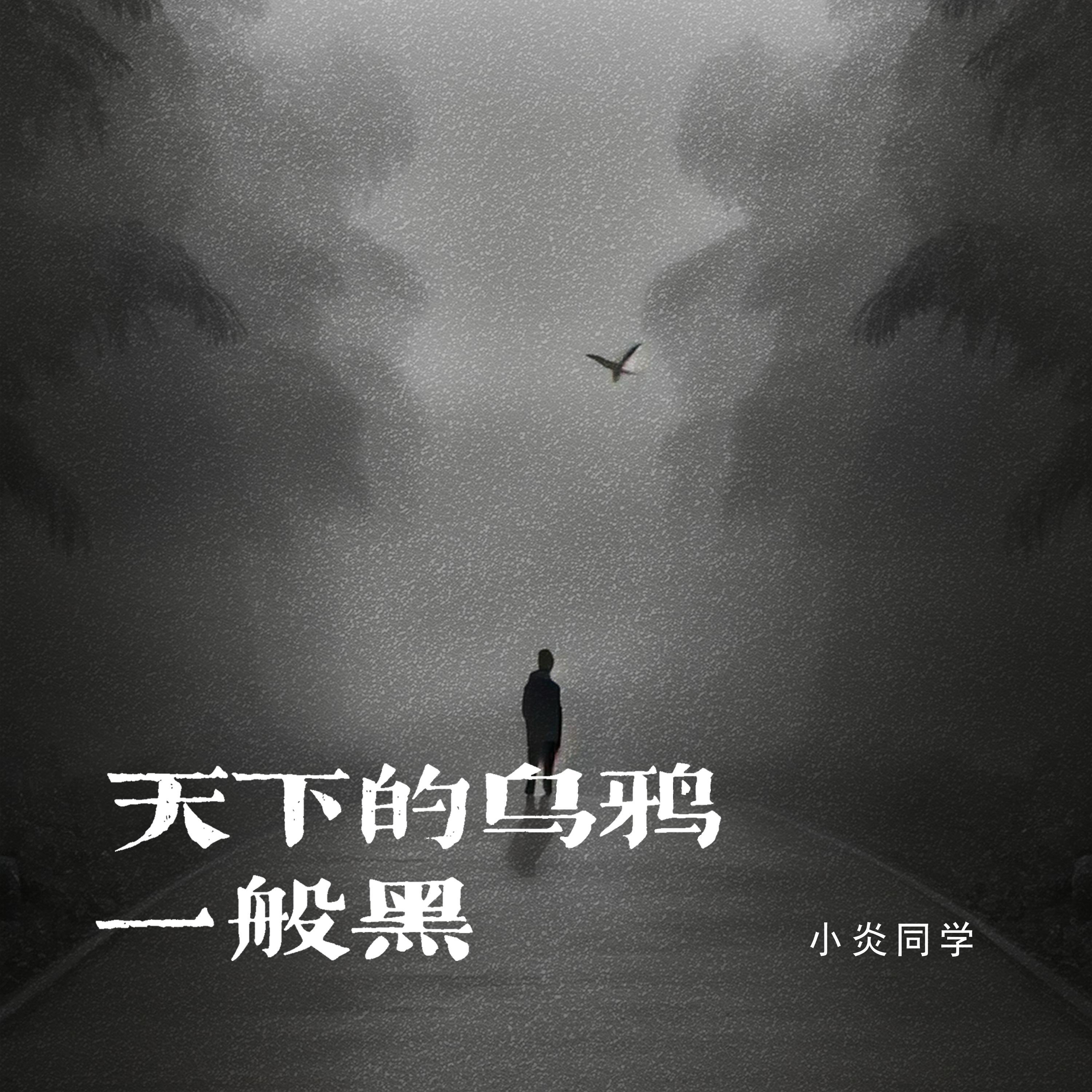 小炎同学-天下的乌鸦一般黑