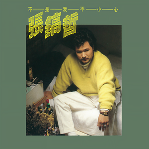 张镐哲-不是我不小心_flac下载_mp3下载