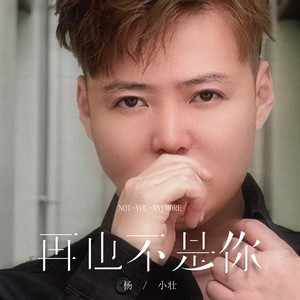 杨小壮-再也不是你(Live版)