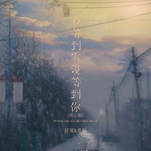 任夏_老板-我等到雪没等到你_flac下载_mp3下载