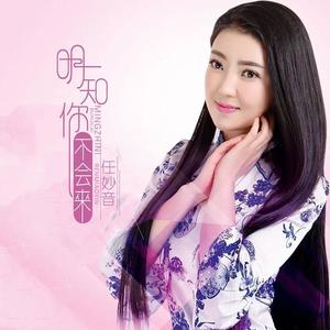 任妙音-明知你不会来_flac下载_mp3下载
