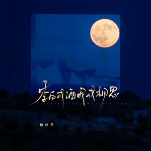 魏佳艺-李白戒酒我戒相思
