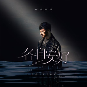 海来阿木-各自安好_flac下载_mp3下载