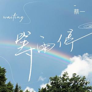 蔡一-等雨停_flac下载_mp3下载