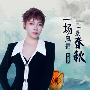 魏佳艺-孤独配老酒
