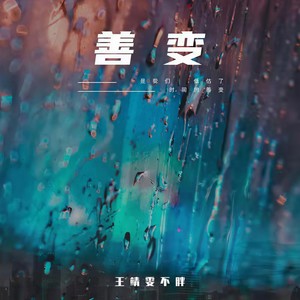 王靖雯-善变_flac下载_mp3下载