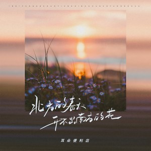 耳朵便利店-北方的春天开不出南方的花_flac下载_mp3下载