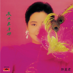 邓丽君-我只在乎你_flac下载_mp3下载