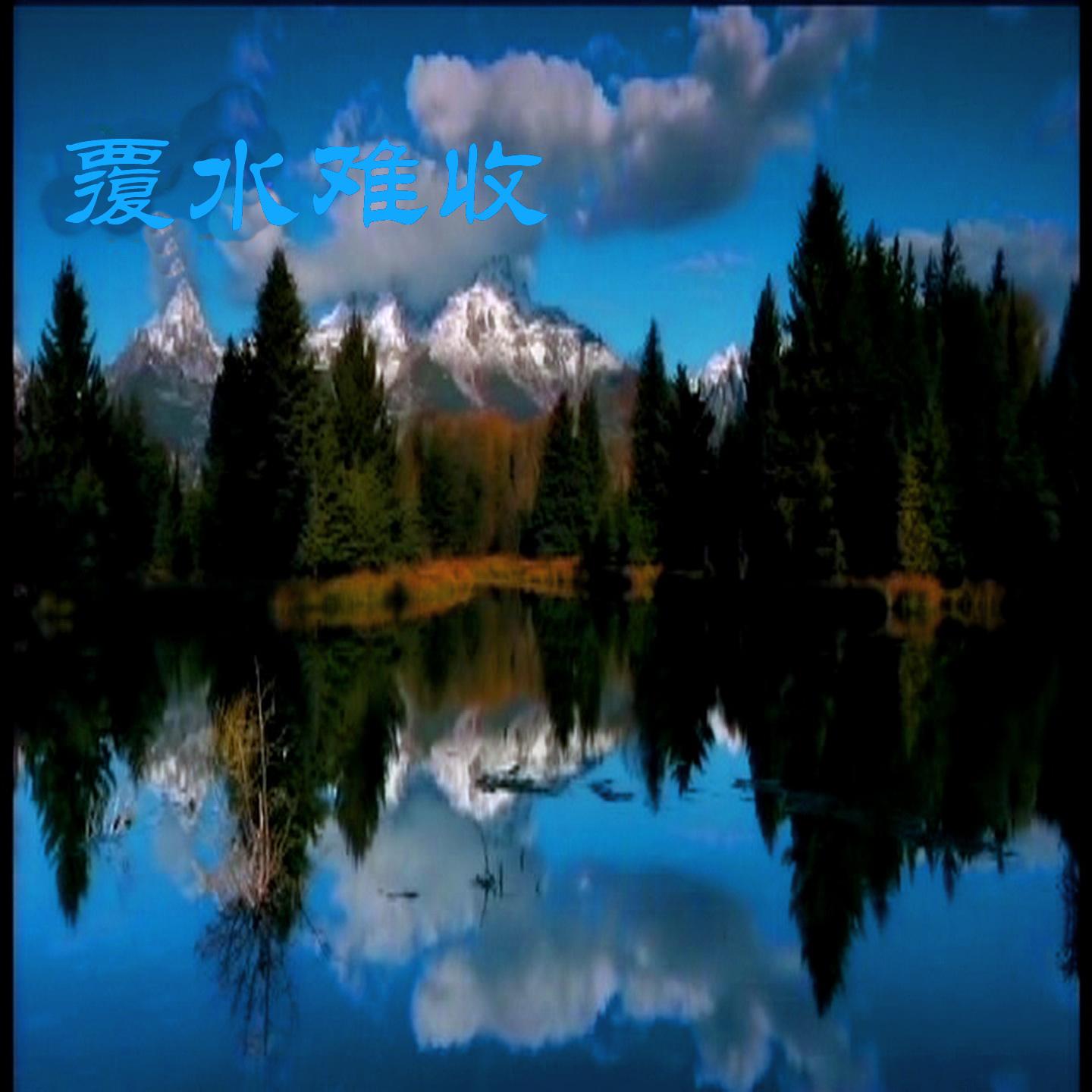 彭丽丽-飞蛾扑火