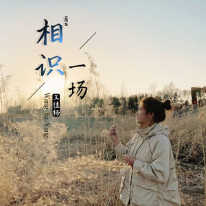 王佳杨-相识一场_flac下载_mp3下载