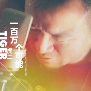 虎二-一百万个可能_flac下载_mp3下载