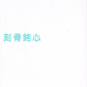 那英-征服_flac下载_mp3下载