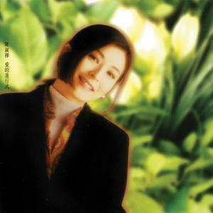 陈淑桦-笑红尘