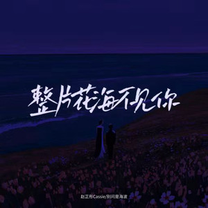 赵芷彤Cassie_别问是海波-整片花海不见你