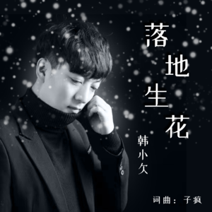 韩小欠-落地生花_flac下载_mp3下载