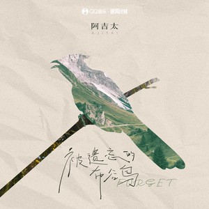 阿吉太组合-被遗忘的布谷鸟