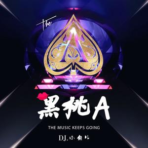 DJ小鱼儿-黑桃A_flac下载_mp3下载