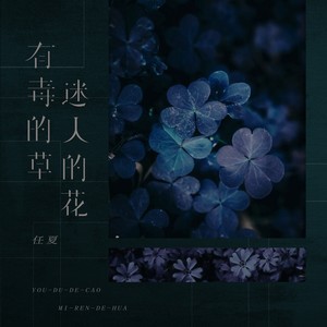 任夏-有毒的草迷人的花_flac下载_mp3下载