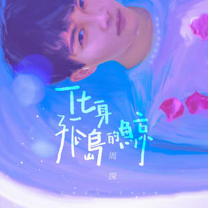 周深-化身孤岛的鲸_flac下载_mp3下载