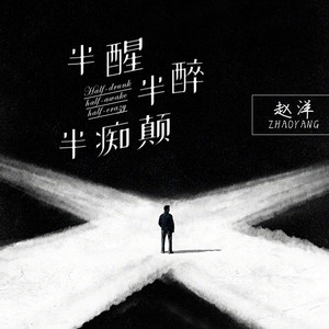 赵洋-半醒半醉半痴癫_flac下载_mp3下载