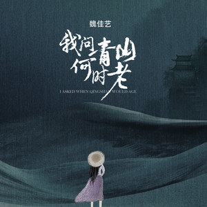 魏佳艺-我问青山何时老_flac下载_mp3下载