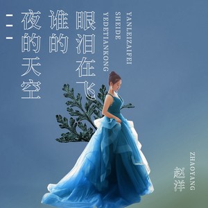 赵洋-夜的天空谁的眼泪在飞_flac下载_mp3下载