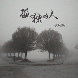 莫叫姐姐-孤独的人_flac下载_mp3下载