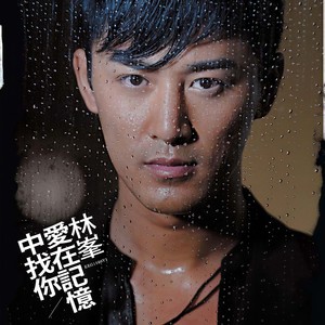 林峯-爱在记忆中找你_flac下载_mp3下载