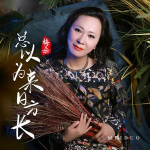 梅朵-总以为来日方长_flac下载_mp3下载