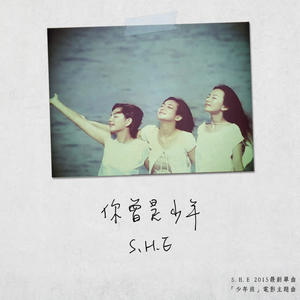 SHE-你曾是少年_flac下载_mp3下载
