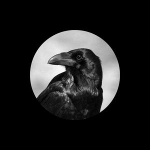 Ice Paper-心如止水_flac下载_mp3下载