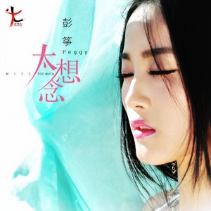 彭筝-太想念_flac下载_mp3下载