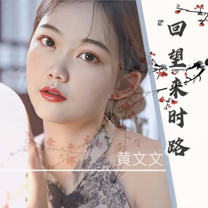 黄文文-回望来时路_flac下载_mp3下载