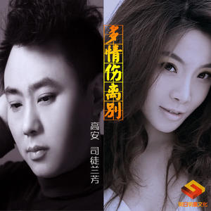 高安_司徒兰-多情伤离别_flac下载_mp3下载