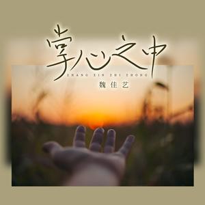 魏佳艺-掌心之中_flac下载_mp3下载