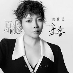 魏佳艺-原来你只是一个过客_flac下载_mp3下载
