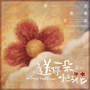 赵英俊-送你一朵小红花_flac下载_mp3下载