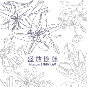 林忆莲-灰色_flac下载_mp3下载